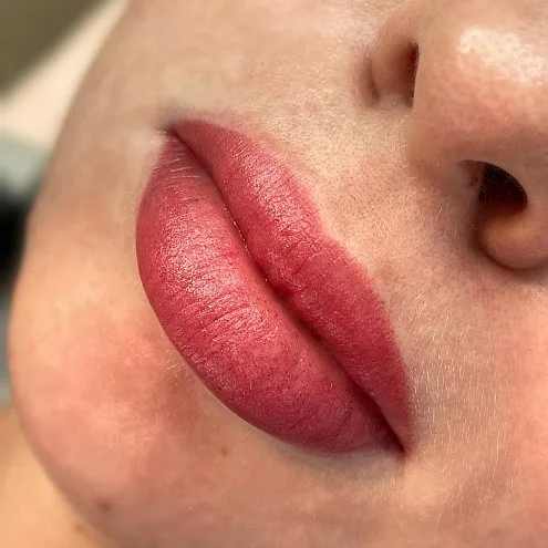 Пигмент для губ #203 Бордо NE203