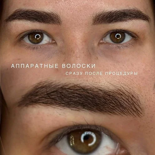 Пигмент для бровей #1103 Эбен NE1103