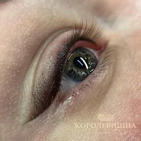 Пигмент для век #301 Кофе